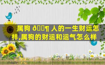 属狗 🐶 人的一生财运怎样,属狗的财运和运气怎么样